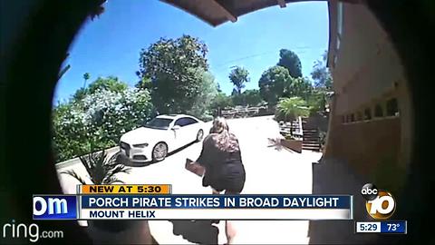 Porch pirate strikes in broad daylight