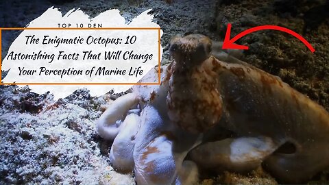 The Enigmatic Octopus: 10 Astonishing Facts That Will Change Your Perception of Marine Life