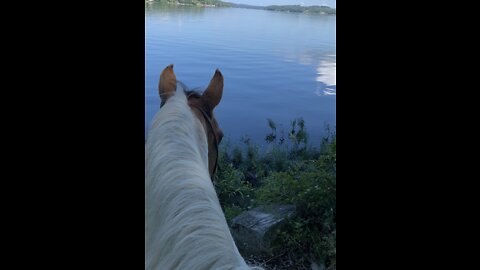 The best view is the one between my horses ears!!