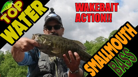 Smallmouth Bass Topwater Wakebait Kayak Fishing Action in the Vibe Shearwater 125 (Fox River)
