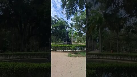 JARDIM BOTÂNICO-RJ.🇧🇷