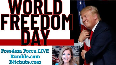 FREEDOM DAY ELECTION - Freedom Force Battalion - Melissa Redpill The World 11-3-20