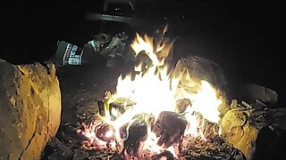 Quick Live Wild CAMPING