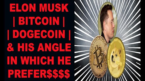 Ep.341 | WHY ELON MUSK MAY BE DISLIKED BY CRYPTO COMMUNITY TODAY
