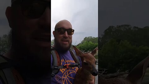 I saved a baby deer from certain DOOM!!!!