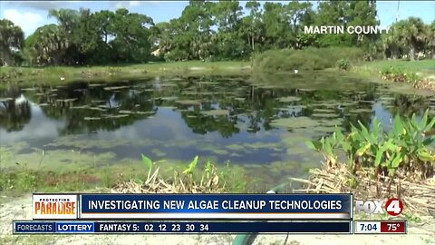 Florida county investigating new algae cleanup technologies