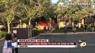 Man hospitalized trying to save dogs in apartment fire