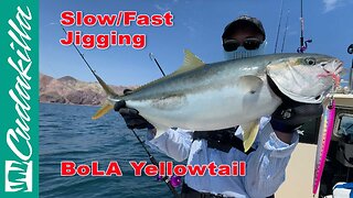Slow Pitch Rod Jigging For Yellowtail. From drop to jigging to hookup to gaff.