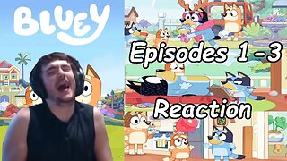 "Watching Bluey For The First Time" Bluey Episodes 1-3 Reaction