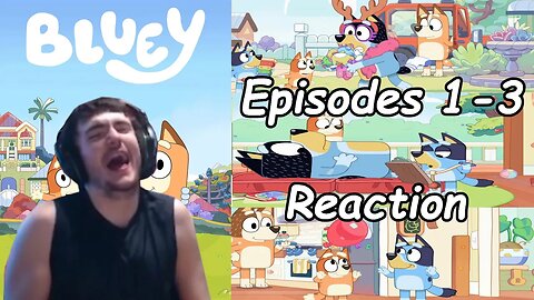 "Watching Bluey For The First Time" Bluey Episodes 1-3 Reaction