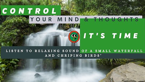CONTROL THE MIND WITH RELAXING SOUND OF SMALL WATERFALL IN FOREST WITH CHIRPING BIRDS