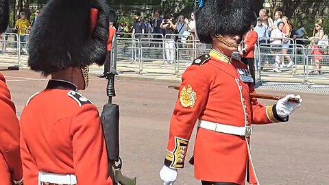 Checking the guards are in line trooping the colour #thekingsguard