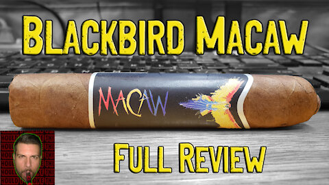 Blackbird Macaw (Full Review) - Should I Smoke This