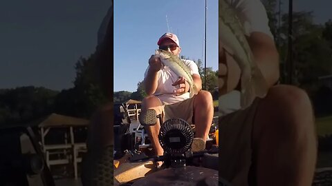 Back to back bass with my new jig technique! Learn more on my Carolina Jig vid! #bassfishing