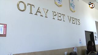 Increase in veterinarian suicides raises concerns