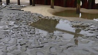 800000 Year Old Footprints Found in England