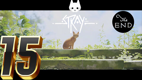 A Purr-fect Finale! -Stray Ep. 15 (FINAL)