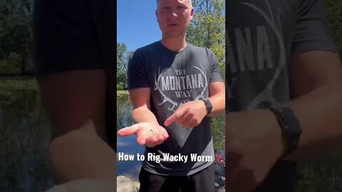How To Rig Wacky Worm