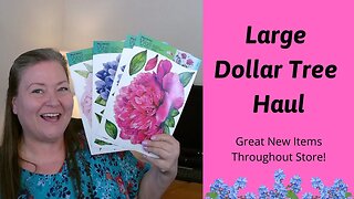 Large Dollar Tree Haul ~ New Items This Week At Dollar Tree