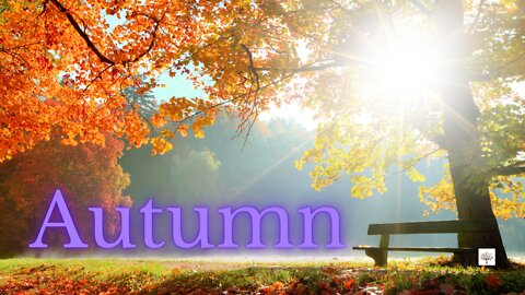 The Autumn Melody + Secrets Of The Autumn