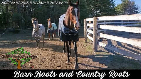 Moving from the Suburbs to the Country - Barn Boots and Country Roots