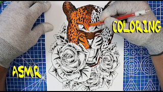 ASMR Coloring Animals - Leopard and Roses