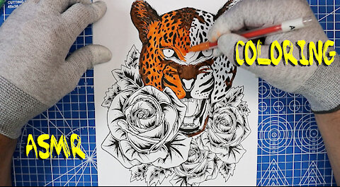 ASMR Coloring Animals - Leopard and Roses