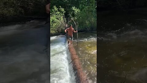 River Crossing | Montana National Forest #shorts #short