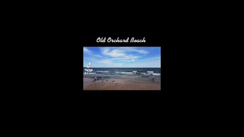 All Orchard Beach Maine￼