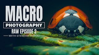 Macro Photography RAW - Episode 2 Womere Pool