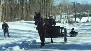말과 마차로 즐기는 Amish 스키스타일