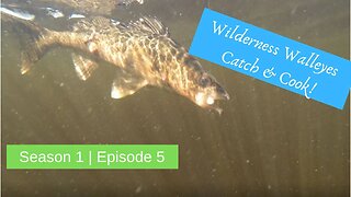 S1 E5 | Wilderness Walleyes galore {catch & cook!}