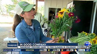 In Good Company: Arvada flower farmer embraces 'Colorful Colorado' in business