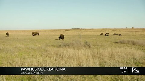 Native American tribes aim to expand broadband internet during pandemic