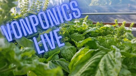 Vonponics live Q and A