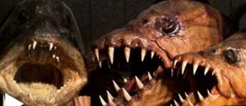 Taxidermist Preserves Terrifying Monster Fish For Museums Around The World