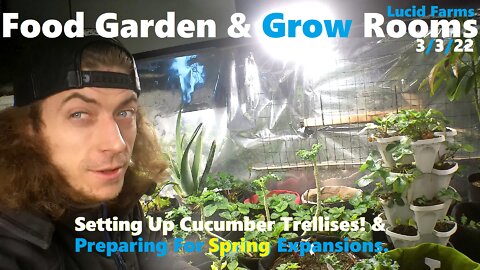 Setting Up Cucumber Trellises! & Preparing For Spring Expansions. 3/3/22 Food Garden & Grow Rooms.