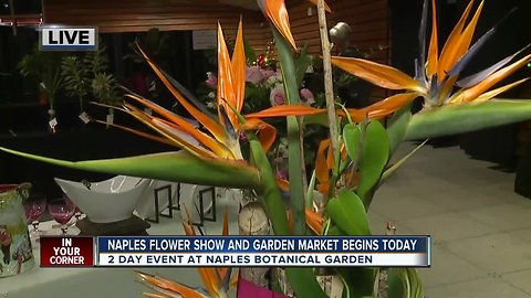 Naples Botanical Garden holds Flower Show and Garden Market