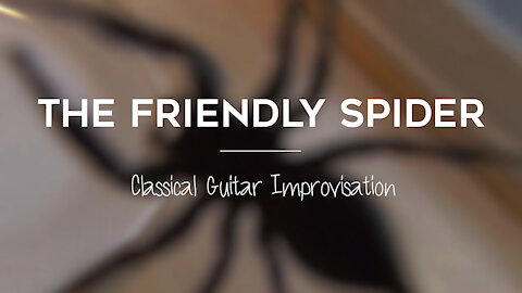 The Friendly Spider - Classical Guitar Improvisation