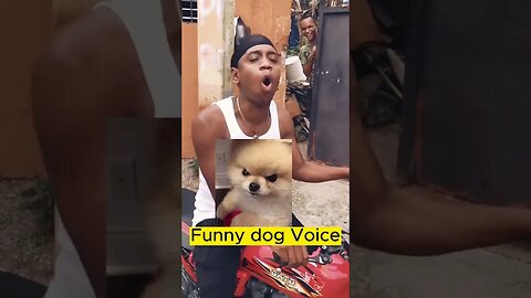 Sound Effects - funny dog |funny dog voice over videos |funny dog voice over vines
