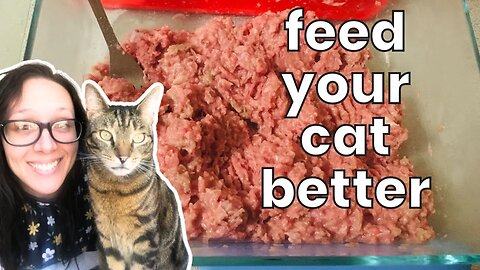 Easiest homemade raw cat food (beginner friendly)