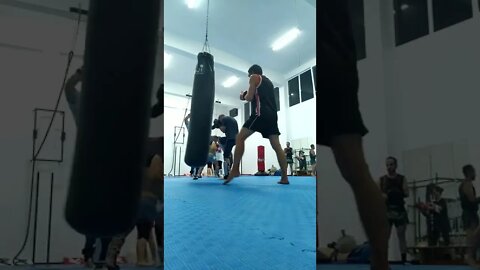 Kick, punch, Elbow and Knee The Bag (17)