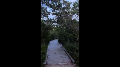 Livestream Clip From Downtown Fort Myers Beach Walk Part 8