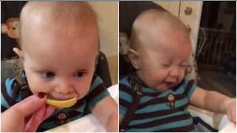 Bebê experimenta limão pela primeira vez