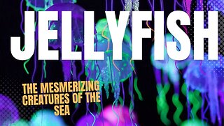 Discovering the Mysterious World of Jellyfish