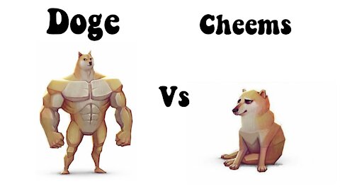 DOGE VS CHEEMS COMEDY 😂😂 😁 DIFFERENCE BETWEEN TWO 🐶