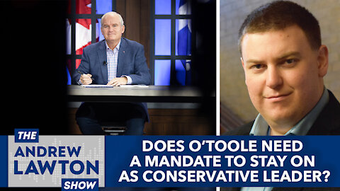 Does Erin O'Toole need a mandate to stay on as Conservative leader?