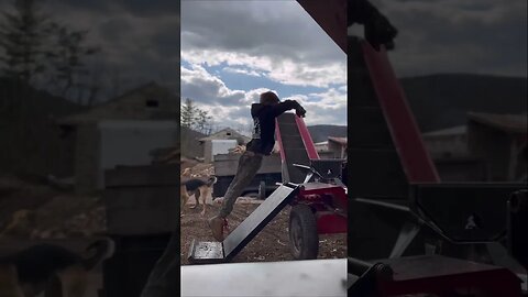 Parkour at the Log Yard