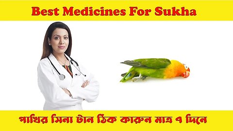 Best Medicines For Sukha | পাখির সিনা টান হলে কি ওষুধ দেবেন ? | #birdsinatantreatment @BikisAviary