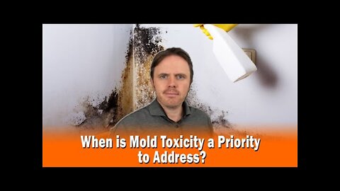 When is Mold Toxicity a Priority to Address?